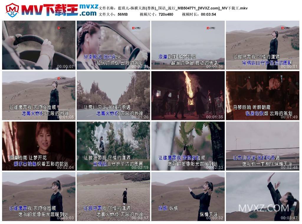 蓝琪儿-纵横天涯(替换)_国语_流行_MB504771